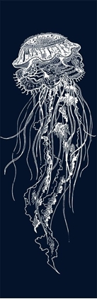 Picture of DETAILED JELLYFISH ILLUSTRATION