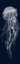 Picture of DETAILED JELLYFISH ILLUSTRATION