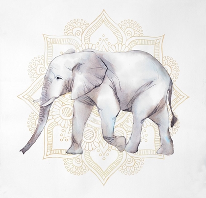 Picture of ELEPHANT ON MANDALAS