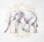 Picture of ELEPHANT ON MANDALAS