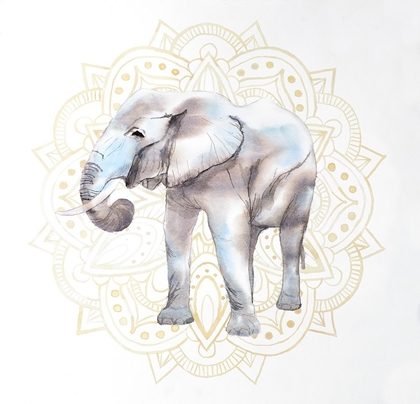 Picture of ELEPHANT ON MANDALAS PATERN