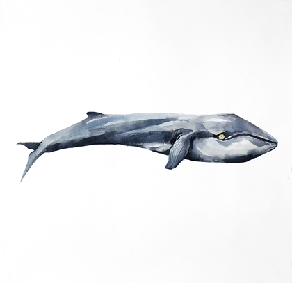 Picture of WATERCOLOR WHALE