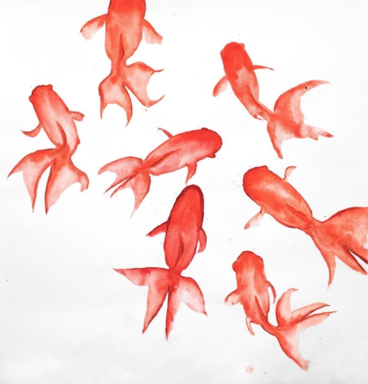 Picture of RED FISHES