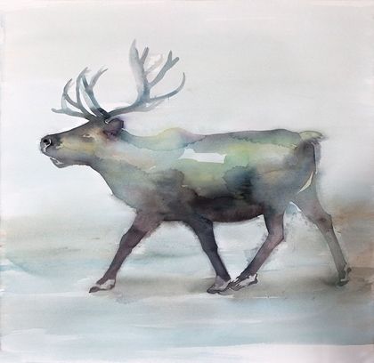 Picture of CARIBOU