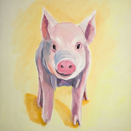 Picture of SOLITARY PIG