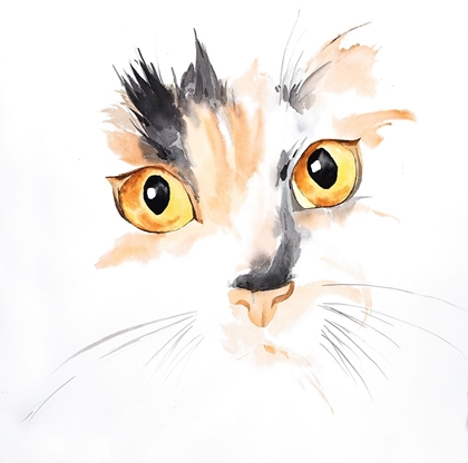 Picture of WATERCOLOR CAT FACE CLOSEUP
