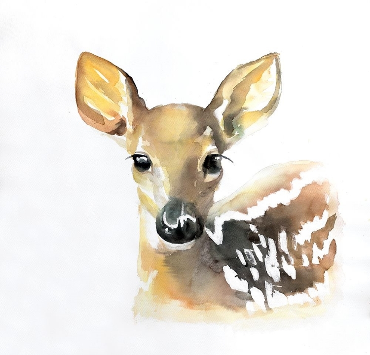 Picture of WATERCOLOR FAWN FACE