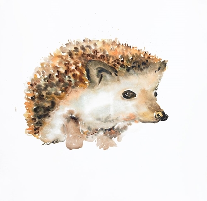 Picture of WATERCOLOR HEDGEHOG
