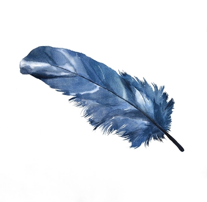 Picture of BLUE FEATHER
