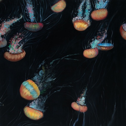 Picture of COLORFUL JELLYFISHES SWIMMING IN THE DARK