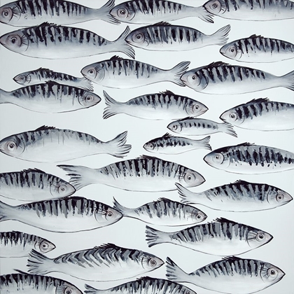 Picture of GRAY SHOAL OF FISH