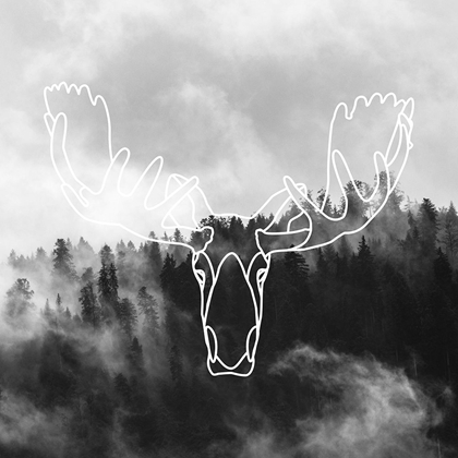 Picture of MINIMALIST MOOSE HEAD