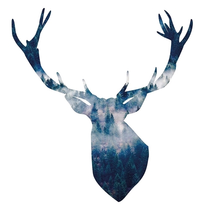 Picture of DEER HEAD LANDSCAPE