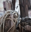 Picture of DRIFTWOOD