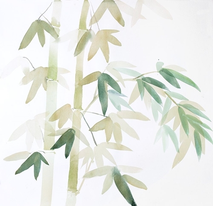 Picture of WATERCOLOR BAMBOO LEAVES AND BRANCHES