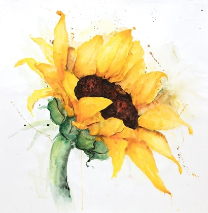 Picture of WATERCOLOR SUNFLOWER WITH PAINT SPLASH