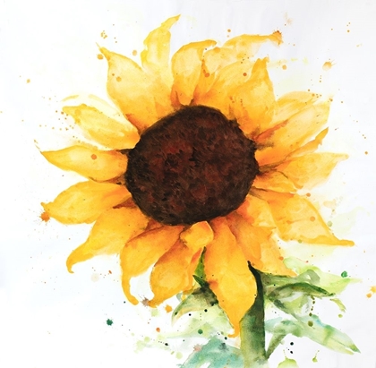 Picture of SUNFLOWER