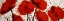 Picture of ABSTRACT PAINT SPLASH RED FLOWERS