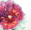 Picture of BLOSSOMING ORCHID WITH WAVY PETALS