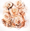 Picture of ABSTRACT ROSES WITH SEPIA STYLE