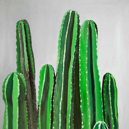 Picture of CACTUS CANDLES