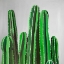 Picture of CACTUS CANDLES