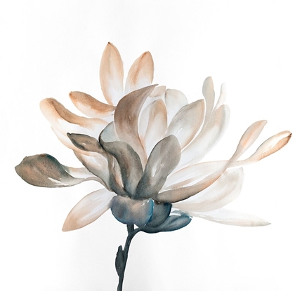 Picture of DESATURATED FLOWER WITH BEAUTIFUL PETALS