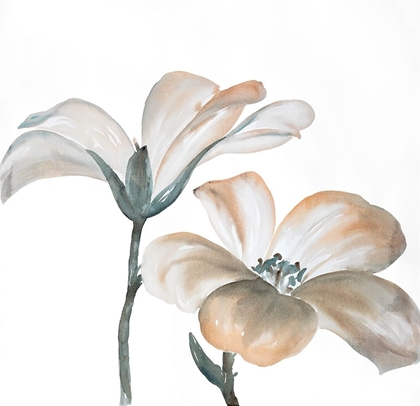 Picture of TWO BEAUTIFUL DESATURATED FLOWERS