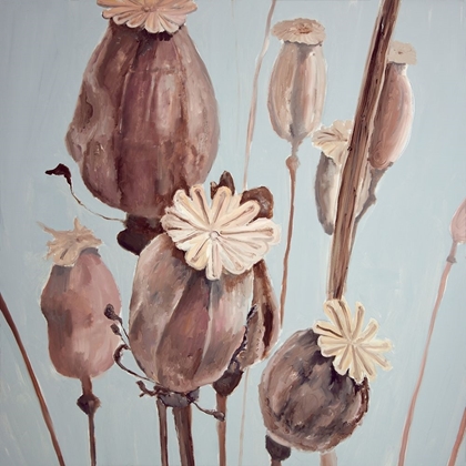 Picture of SEPIA POPPY HEAD FLOWERS