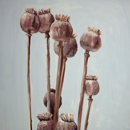Picture of SEPIA POPPY HEAD PLANTS
