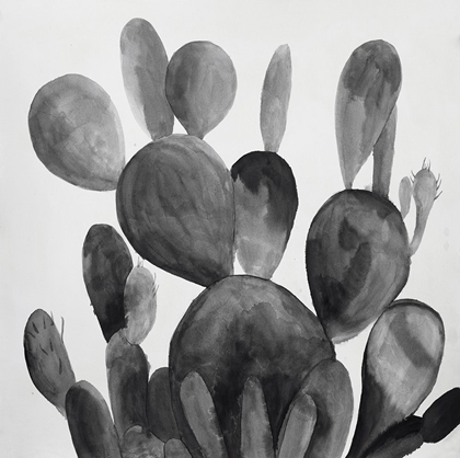 Picture of GRAYSCALE PADDLE CACTUS PLANT