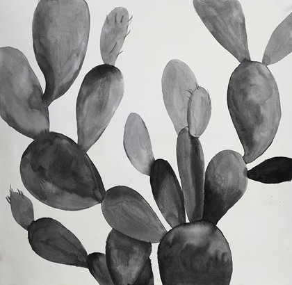 Picture of GRAYSCALE CACTUS