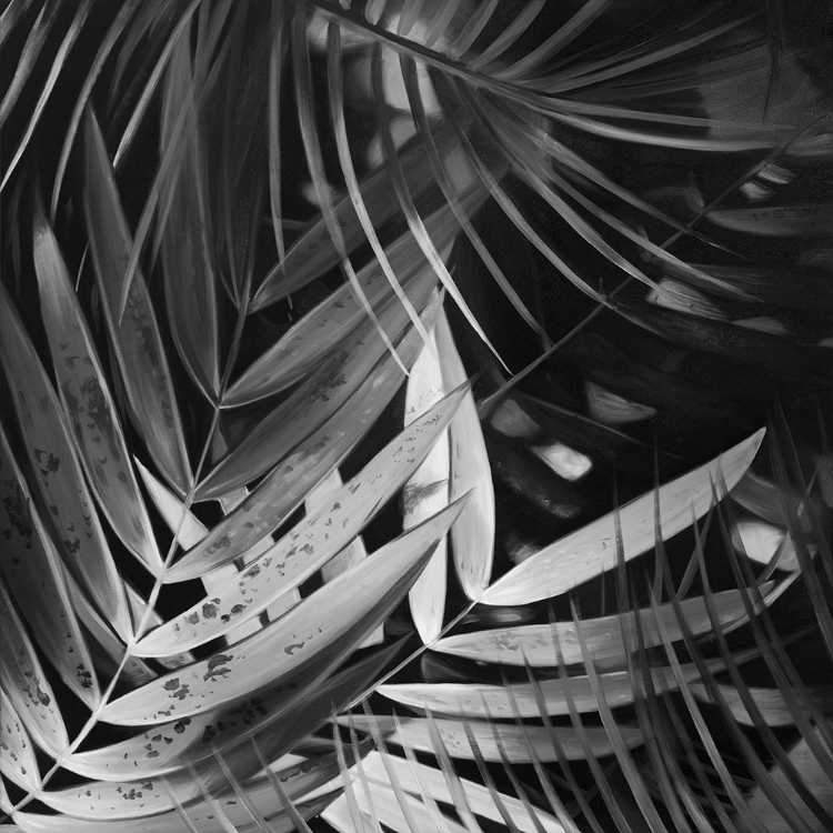 Picture of MONOCHROME TROPICALS LEAVES