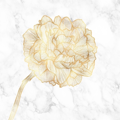 Picture of GOLDEN PEONY