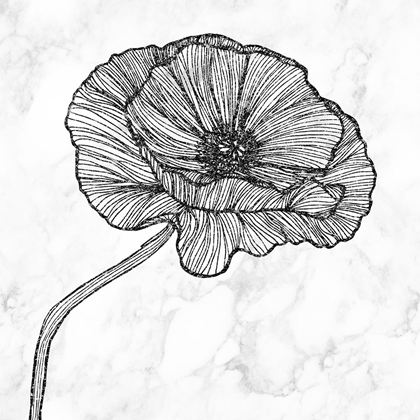 Picture of BRIGHT POPPY FLOWER