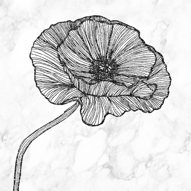 Picture of BRIGHT POPPY FLOWER