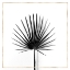 Picture of CABBAGE PALM LEAF WITH GOLD LINES