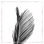 Picture of ARECA PALM WITH ROSE LINE