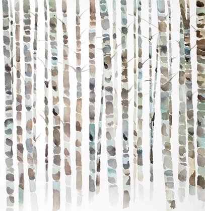 Picture of WATERCOLOR BIRCH TREE FOREST