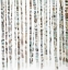 Picture of WATERCOLOR BIRCH TREE FOREST