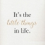 Picture of ITS THE LITTLE THINGS IN LIFE