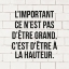 Picture of LIMPORTANT CE NEST PAS DˆTRE GRAND...