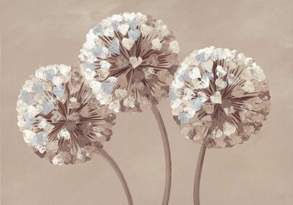 Picture of CHOCOLATE ALLIUM HEARTS