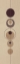 Picture of CONCIOUSNESS I