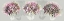 Picture of PINK ALLURE I