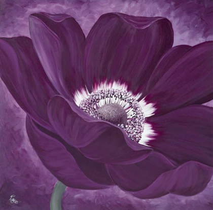 Picture of PURPLE PASSION I