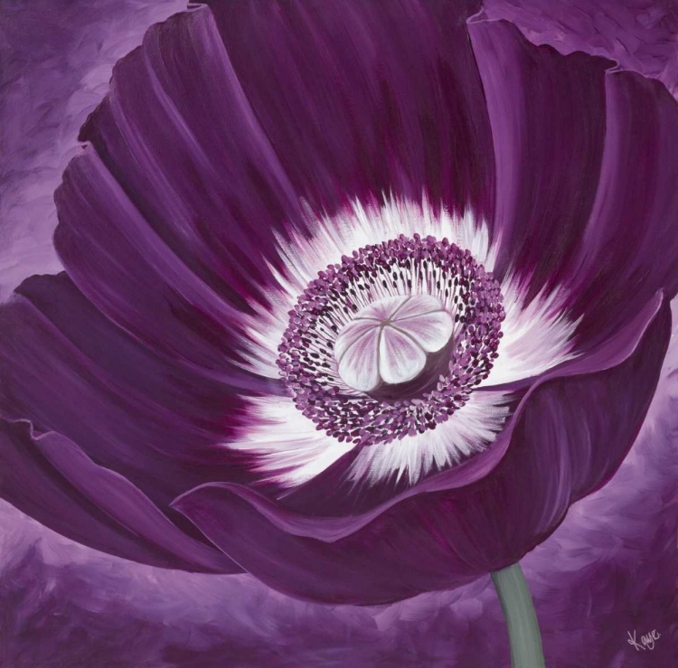 Picture of PURPLE PASSION II