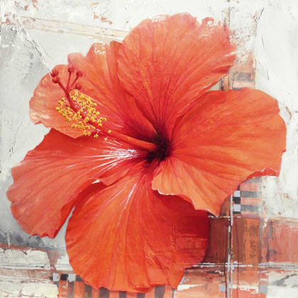 Picture of HIBISCUS I