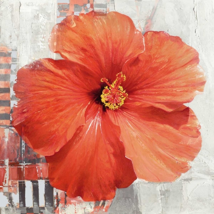 Picture of HIBISCUS II