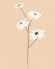 Picture of SERENE FLORALS II